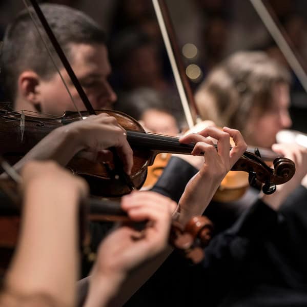 A Sublime Symphony